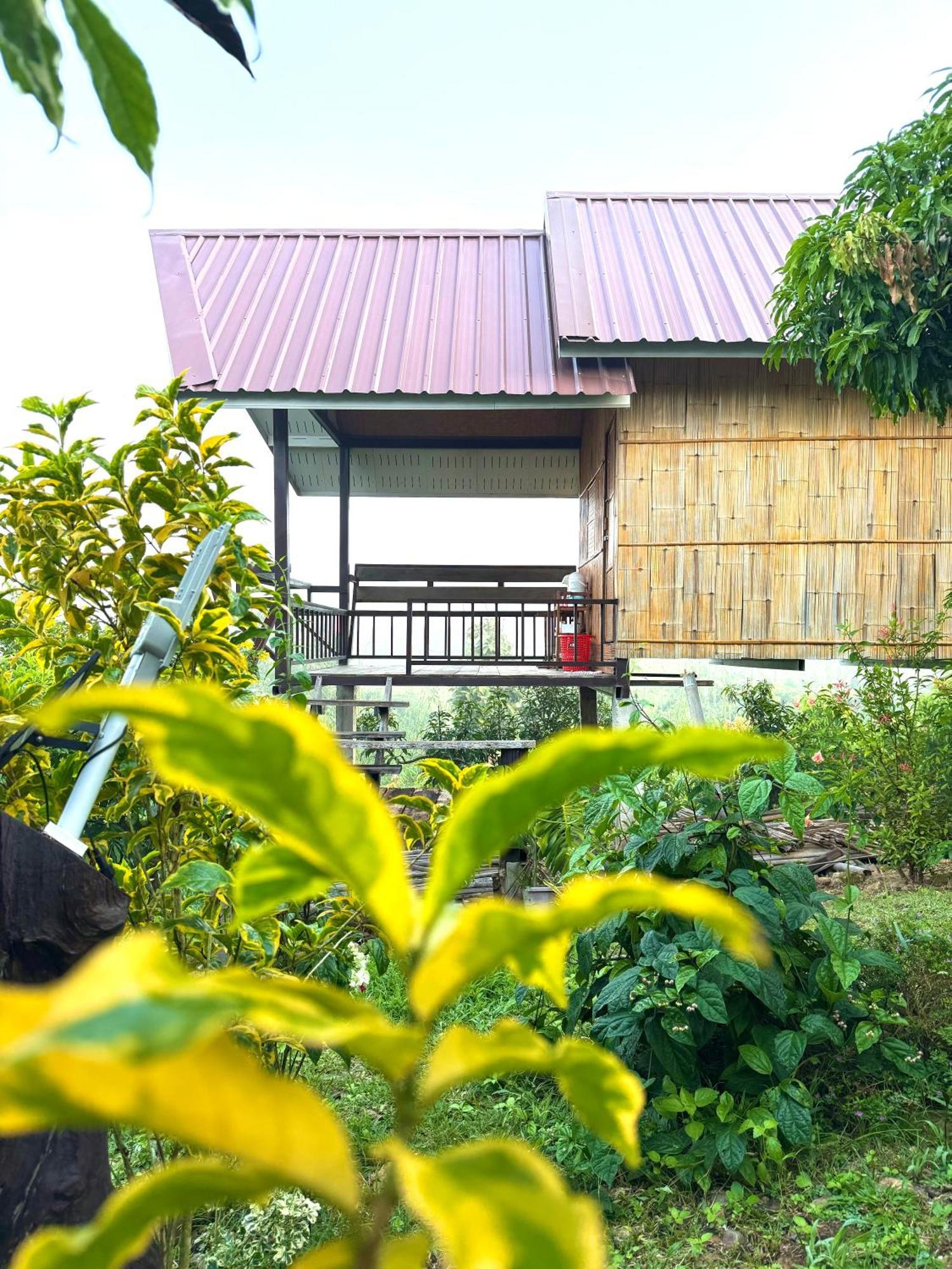 Doicherngngam Home stay Chiang Dao Exterior foto